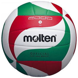 Molten tinklinio kamuolys V5-M2000