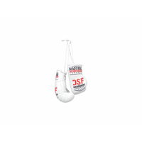 Mini pirštinės MINI DSF02 (SW808278)