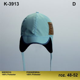 Žieminė kepurė