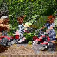 Valtra bordo spalvos pedalinis traktorius su priekaba ir kaušu nuo 3 metų