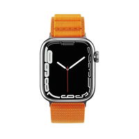 Dirželis su Alpine plieno sagtimi, skirtas Apple Watch 38/40/41 mm - oranžinis