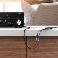 garso adapterio lizdas iš 3,5 mm vyriškos į 2xRCA moterišką 0,25 m pilkos spalvos (AV109)