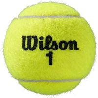 Wilson Roland Garros All Court teniso kamuoliukai 3 vnt. WRT126400