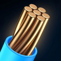 Baseus didelės spartos šešių tipų RJ45 Gigabitinio tinklo kabelis (plokščias kabelis)15 m juodas