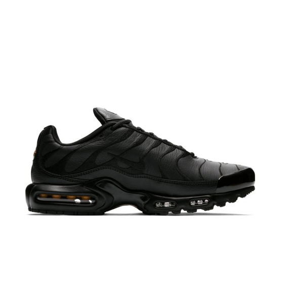 Nike Air Max Plus M batai AJ2029-001 (SW886941)
