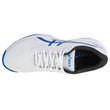 Asics Gel-Game 9 Clay/Oc M teniso bateliai 1041A358-103