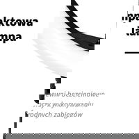 GLOW žiedas šviesos žiedas 13 RGB bsc su trikoju 10W
