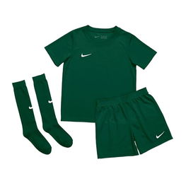 Nike Dry Park 20 Jr futbolo rinkinys CD2244-302
