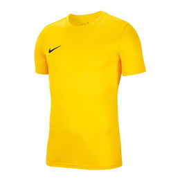 Nike Dry Park VII Jr marškinėliai BV6741-719
