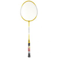 SMJ Teloon TL100 badmintono raketė