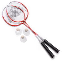 Meteor Motion 2 badmintono rinkinys 20076