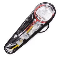 Meteor Motion 2 badmintono rinkinys 20076