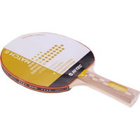 Hi-tec Match II raketė 92800438371