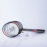 SMJ sportinis badmintono rinkinys TL001