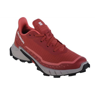 Salomon Alphacross 5 W bėgimo bateliai 473136