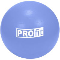 Profit 65 cm gimnastikos kamuolys su pompa DK 2102