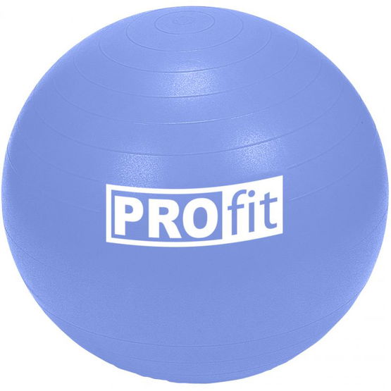 Profit 65 cm gimnastikos kamuolys su pompa DK 2102