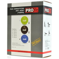 Profit 65 cm gimnastikos kamuolys su pompa DK 2102