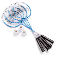 Meteor Motion 4 badmintono rinkinys 20077