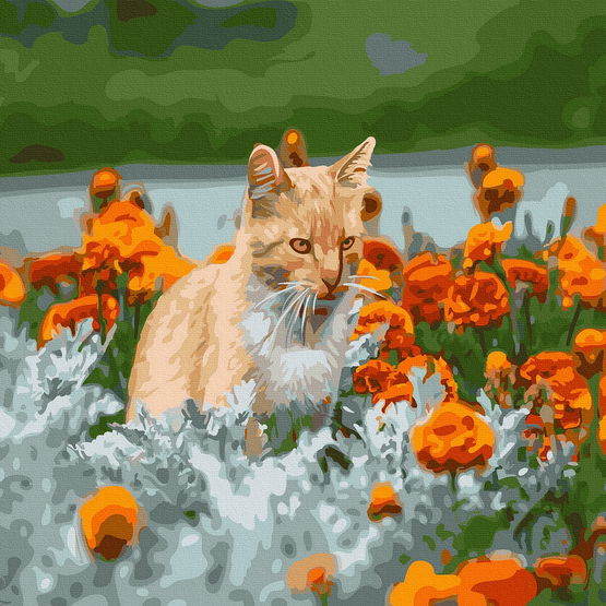 Tapyba pagal skaičius Katė lauke 40x50 cm