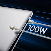 USB-C 100W 2m kabelis – auksinė spalva