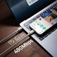 USB-C 100W 2m kabelis – auksinė spalva