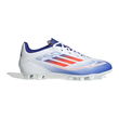 Adidas F50 Club FxG M IE0611 futbolo batai