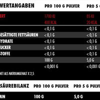 Big Zone Glutamin 500g (BNN210041)