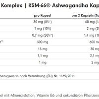 ProFuel Ashwagandha Komplex KSM-66 120 Kapseln (BNN1000043)