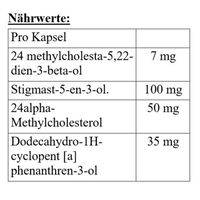 Megabol Testosterol 250 - 30 Kapsel (BNN960100)