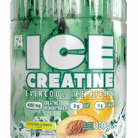 FA Nutrition ICE Creatine 300g (BNN950098)