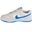 Batai Nike Dunk Low Retro M DV0831-108