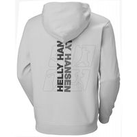 vyriškas džemperis su gobtuvu Helly Hansen Core Graphic Sweat Hoodie M (SW1337643)