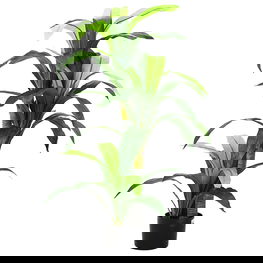 Dirbtinis dracenos medis, žalios spalvos, 120cm, 36 lapai