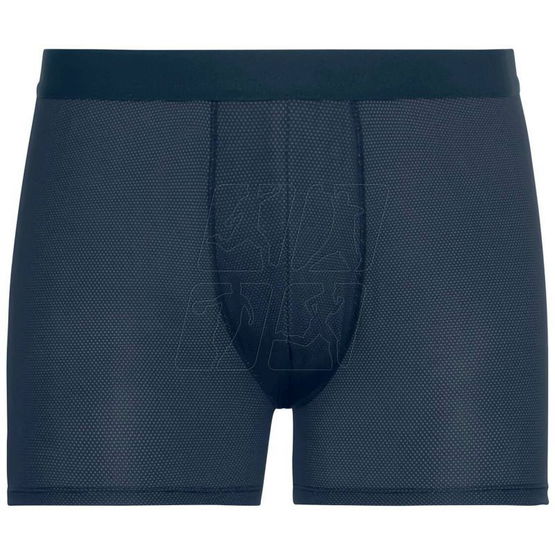Vyriškos sportinės bokserinės kelnaitės Odlo Active F-Dry Light Eco