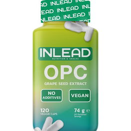 Grape Seed Extract – 120 kapsulių vynuogių sėklų