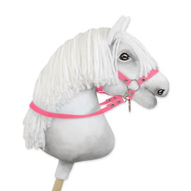 Hobby Horse