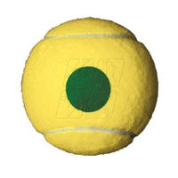 Teniso kamuoliukai vaikams Wilson Starter Green 4 vnt.