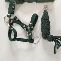 Hobby Horse kantaras ir pavadys, žalia spalva