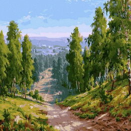 Tapybos rinkinys pagal skaičius Miško takas“, 40×50 cm