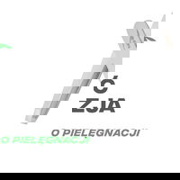 Pincetas antakiams nerūdijančio plieno