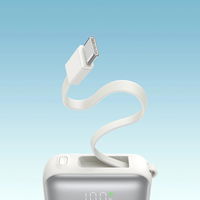 Išorinė baterija su USB-C ir Lightning laidais, balta, 10000 mAh