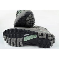 Trekkingo batai Aku Alterra Lite GORE-TEX, pilki (SW949453)