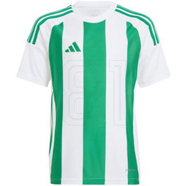 Marškinėliai vaikams adidas Striped 24, sportiniai