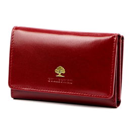 Piniginė Luxury stiliaus moterims (GG56155)