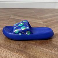 Vaikiškos mėlynos šlepetės su dinozauro piešiniu