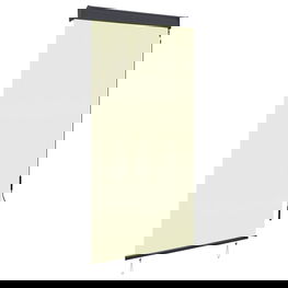 Lauko roletas, kreminės spalvos, 80x250cm