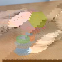 Medinė Montessori formų ir spalvų rūšiuoklė vaikams