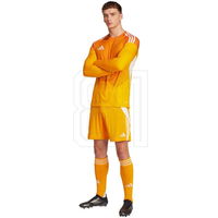 Vyriški geltoni sportiniai šortai treniruotėms Adidas