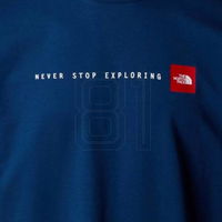 Vyriški mėlyni medvilniniai marškinėliai laisvalaikiui The North Face